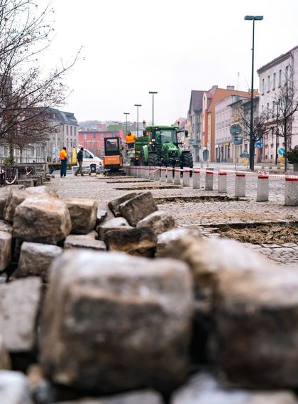 Sadzenie nowych drzew na Placu Wolności.