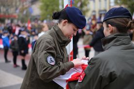 Obchody Święta Niepodległości w Rybniku - 2025