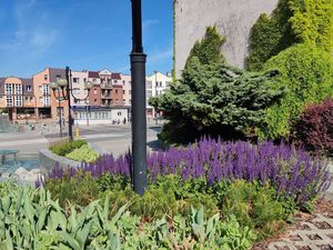 Ukwiecone schody przed Teatrem Ziemi Rybnickiej 