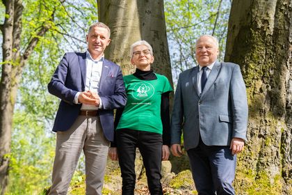 Spotkanie kilku osób przy pomniku przyrody - dwóch zrośnietych bukach