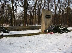 Pomnik "pamięci 446 ofiar Auschwitz-Birkenau " stojący w lesie, zimą