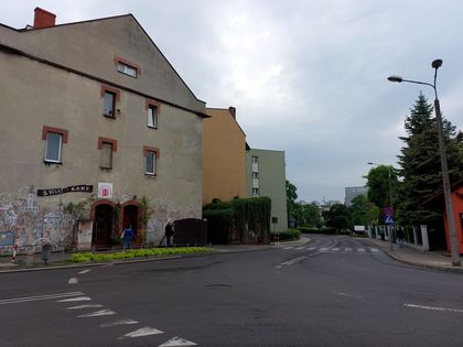 Pasy na przejściu dla pieszych przy ul. M. Skłodowskiej-Curie. 