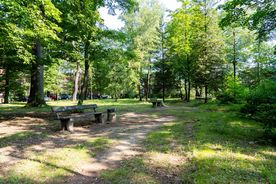 Park pod wieżą na terenie rybnickiego szpitala psychiatrycznego 
