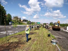 Kilka osób w odblaskowych kamizelkach sadzi drzewa przy drodze