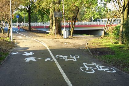 Asfaltowa droga pieszo-rowerowa. Na drugim planie most nad rzeką