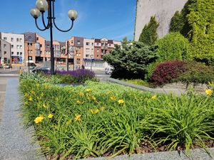 Ukwiecone schody przed Teatrem Ziemi Rybnickiej 