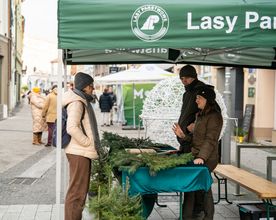 Spotkanie z mieszkańcami na deptaku