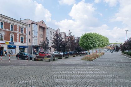 Plac Wolności - wizualizacja nowych drzew