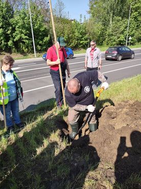 Kilka osób w odblaskowych kamizelkach sadzi drzewa