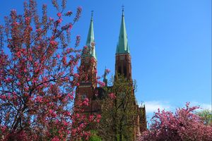 Wiosna w mieście - kwitnące kwiaty, zieleń drzew