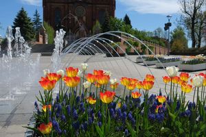 Wiosna w mieście - kwitnące kwiaty, zieleń drzew