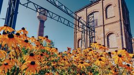 Zabytkowa Kopalnia Ignacy