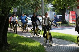 Grupa osób na rowerach, jadąca miejską drogą rowerową 