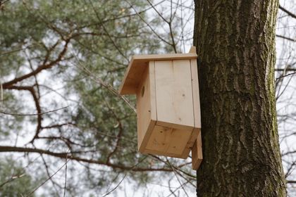 Budka lęgowa dla ptaków wykonana przez uczniów rybnickich szkół