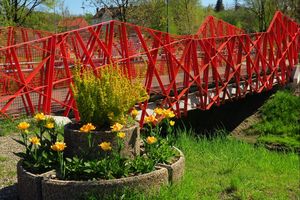 Wiosna w mieście - kwitnące kwiaty, zieleń drzew