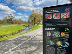 Automat, w którym można kupić karmę do karmienia rzecznego ptactwa. W tle bulwary pieszo-rowerowe