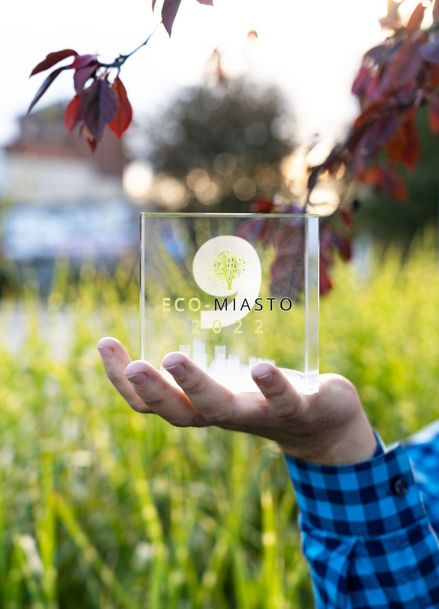 Statuetka przyznana w ramach tegorocznej edycji projektu Eco-miasto