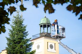 Ustawianie choinki na rybnickim rynku