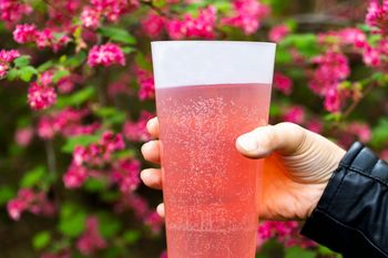 Ekokubek z kolorowym napojem trzymany w dłoniach. W tle zieleń i kwiaty