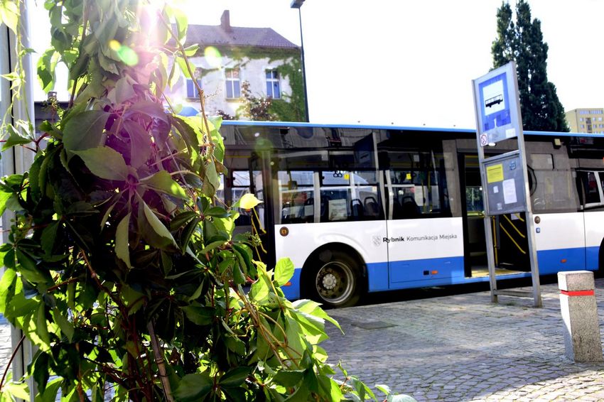 Zieleń okalająca wiatę przystankową, w tle autobus 