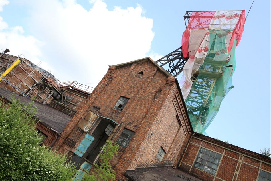 Ignacy fot.W.Troszka 10