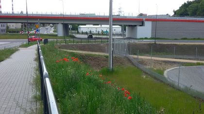 Kwitnąca łąka kwietna wzdłuż drogi, na drugim planie wiadukt