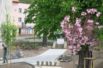 Prace przy tworzeniu nowego skweru miejskiego - nasadzenia, podlewanie