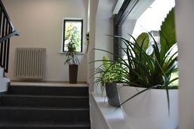 Klatka schodowa, ciemne schody, jasne ściany, kwiaty w doniczce na parapecie, okno. 