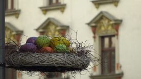 Dekoracje wielkanocne (zajączki, kwiaty, ptaszki) w przestrzeni miejskiej - na drzewach i budynkach