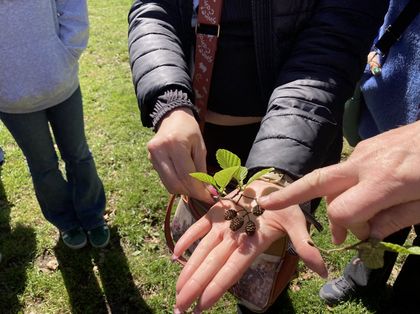 Urban Lab Zielony Tydzień