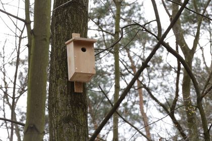 Budka lęgowa dla ptaków wykonana przez uczniów rybnickich szkół