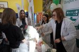 Grupa kobiet w sali gimnastycznej, robiących naukowy eksperyment. Na środku widać unoszący się dym. 