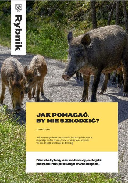 Plakat edukacyjny dot. spotkanych w mieście dzikich zwierząt i ich młodych: Nie dotykaj, nie zabieraj, odejdź powoli nie płosząc zwierzęcia.