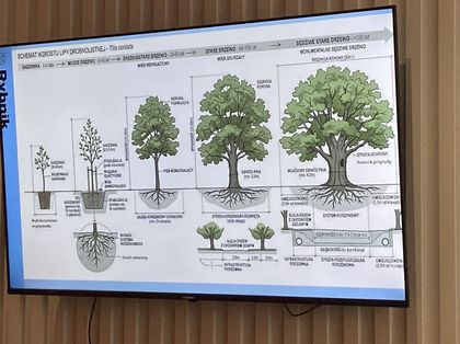 Urban Lab Zielony Tydzień