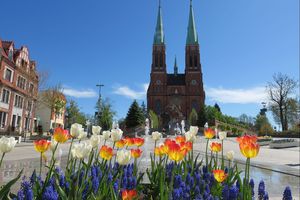 Wiosna w mieście - kwitnące kwiaty, zieleń drzew