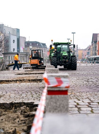 Sadzenie nowych drzew na Placu Wolności.