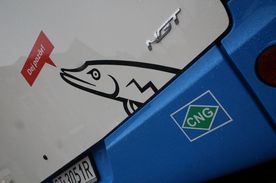 Fragment karoserii autobusu miejskiego, naklejka z wizerunkiem szczupaka i napis "dej pozor" 