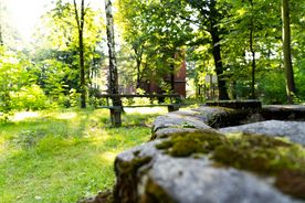 Park pod wieżą na terenie rybnickiego szpitala psychiatrycznego 