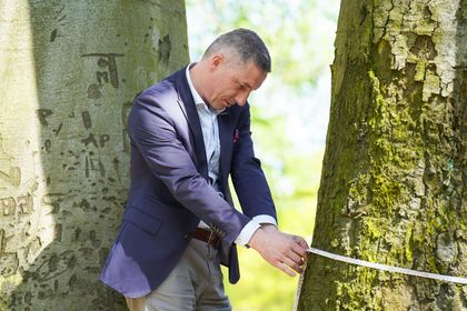 Spotkanie kilku osób przy pomniku przyrody - dwóch zrośnietych bukach