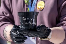 zdjęcie przedstawia ręcznie zdobioną doniczke