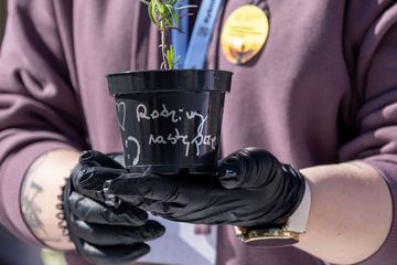 zdjęcie przedstawia ręcznie zdobioną doniczke