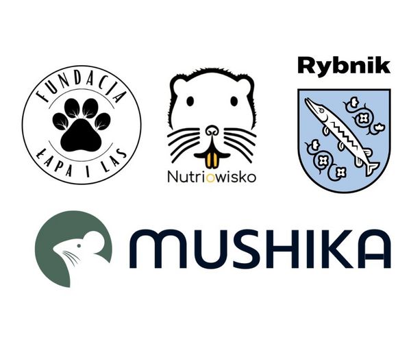 Zestaw logotypów Nutriowiska 