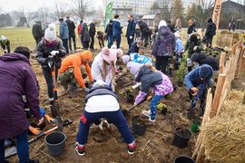 Mieszkańcy sadzący drzewa na osiedlu