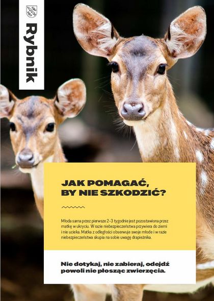 Plakat edukacyjny dot. spotkanych w mieście dzikich zwierząt i ich młodych: Nie dotykaj, nie zabieraj, odejdź powoli nie płosząc zwierzęcia.