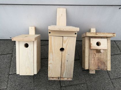 Budki lęgowe dla ptaków wykonane przez uczniów rybnickich szkół