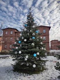 Ustrojona, zielona choinka w przestrzeni miejskiej 