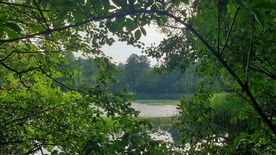 Użytek ekologiczny Okrzeszyniec