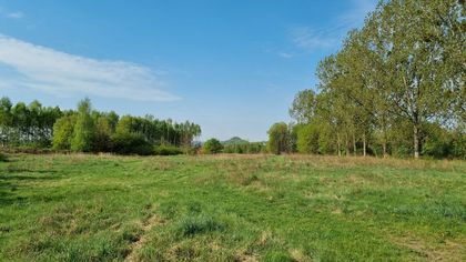 Teren byłego boiska „Parys” pomiędzy dzielnicami Zamysłów i Niedobczyce, gdzie może powstać Centrum Aktywności Lokalnej