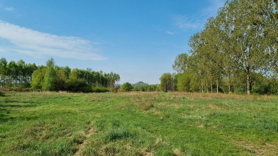 Teren byłego boiska „Parys” pomiędzy dzielnicami Zamysłów i Niedobczyce, gdzie może powstać Centrum Aktywności Lokalnej