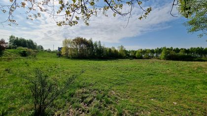 Teren byłego boiska „Parys” pomiędzy dzielnicami Zamysłów i Niedobczyce, gdzie może powstać Centrum Aktywności Lokalnej
